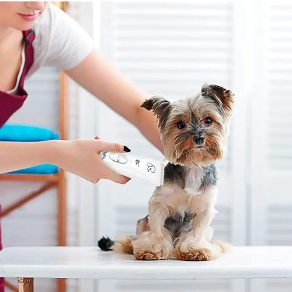 Maxesla Rechargeable Dog Clippers